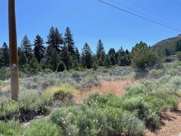 0.5 Acres of Land for Sale in Loyalton, California