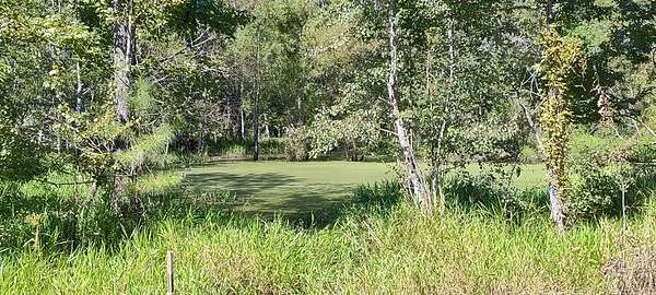 8.6 Acres of Residential Land for Sale in Slocomb, Alabama