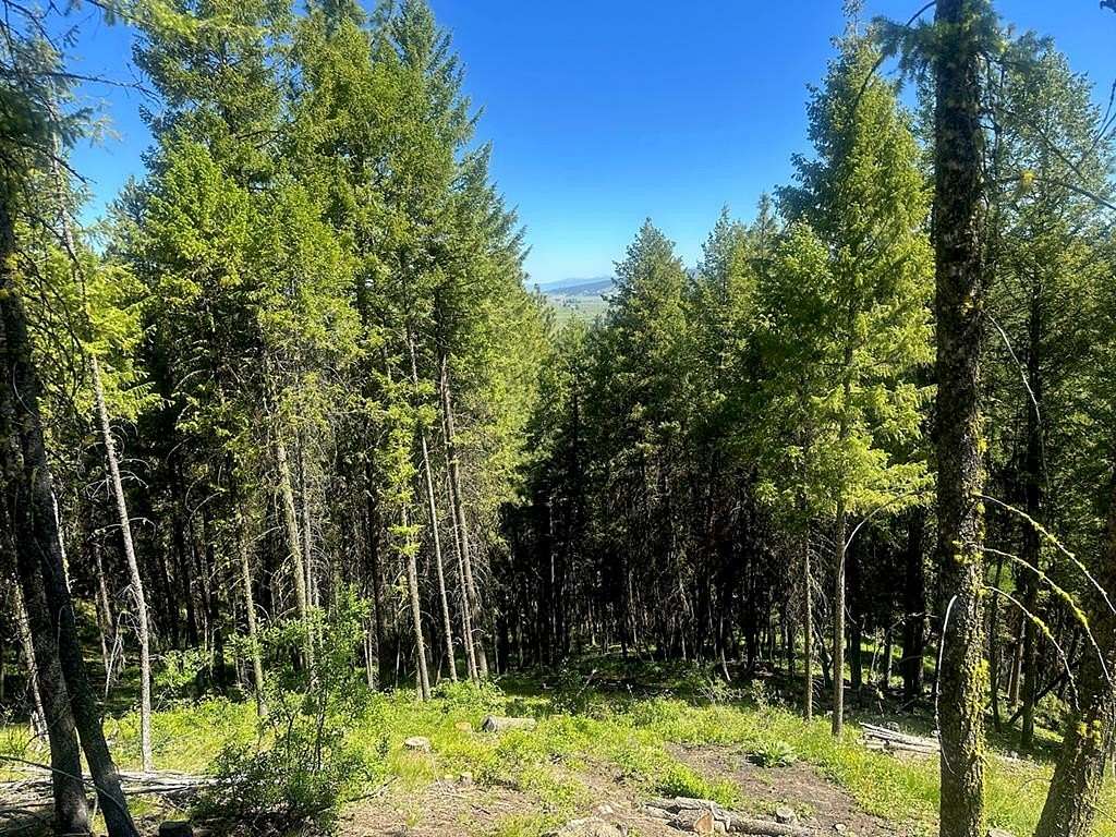2.6 Acres of Land for Sale in Cascade, Idaho