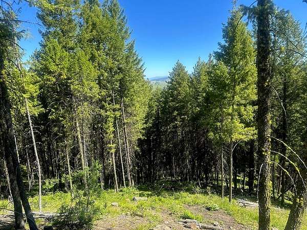 2.6 Acres of Land for Sale in Cascade, Idaho