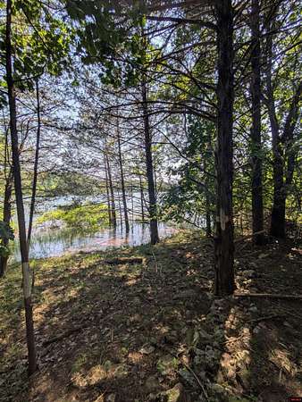 15 Acres of Land for Sale in Oakland, Arkansas