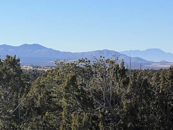 18.5 Acres of Land for Sale in Mountainair, New Mexico