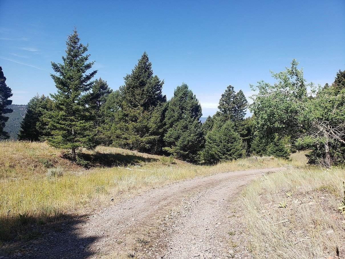 40 Acres of Recreational Land for Sale in Helmville, Montana