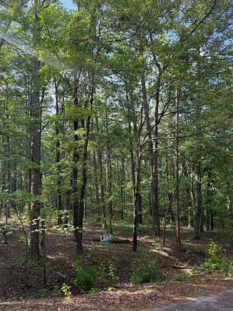 0.25 Acres of Residential Land for Sale in Hot Springs Village, Arkansas