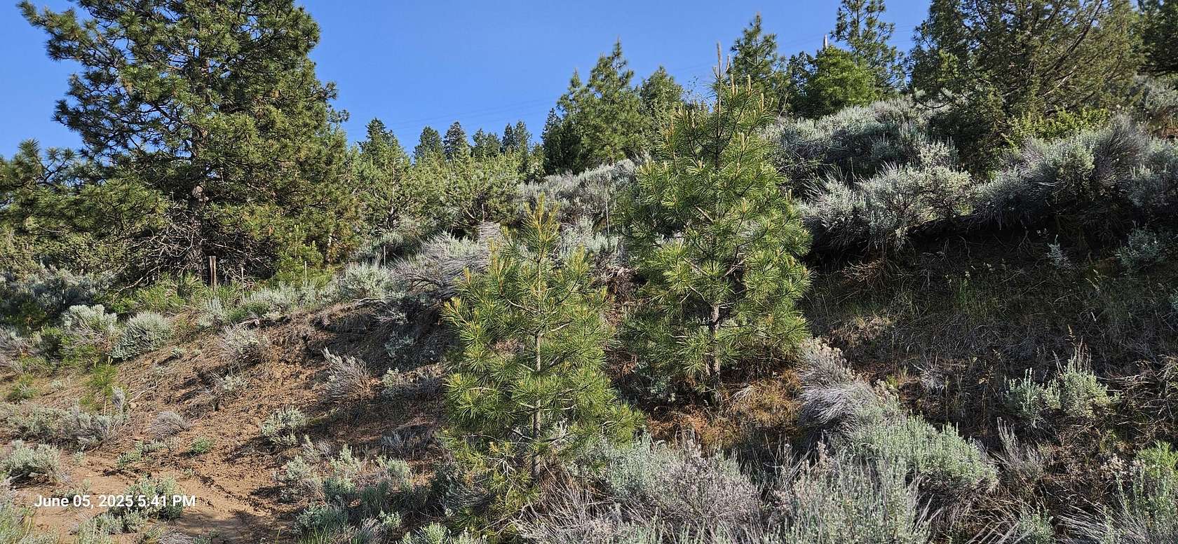 5 Acres of Residential Land for Sale in Klamath Falls, Oregon