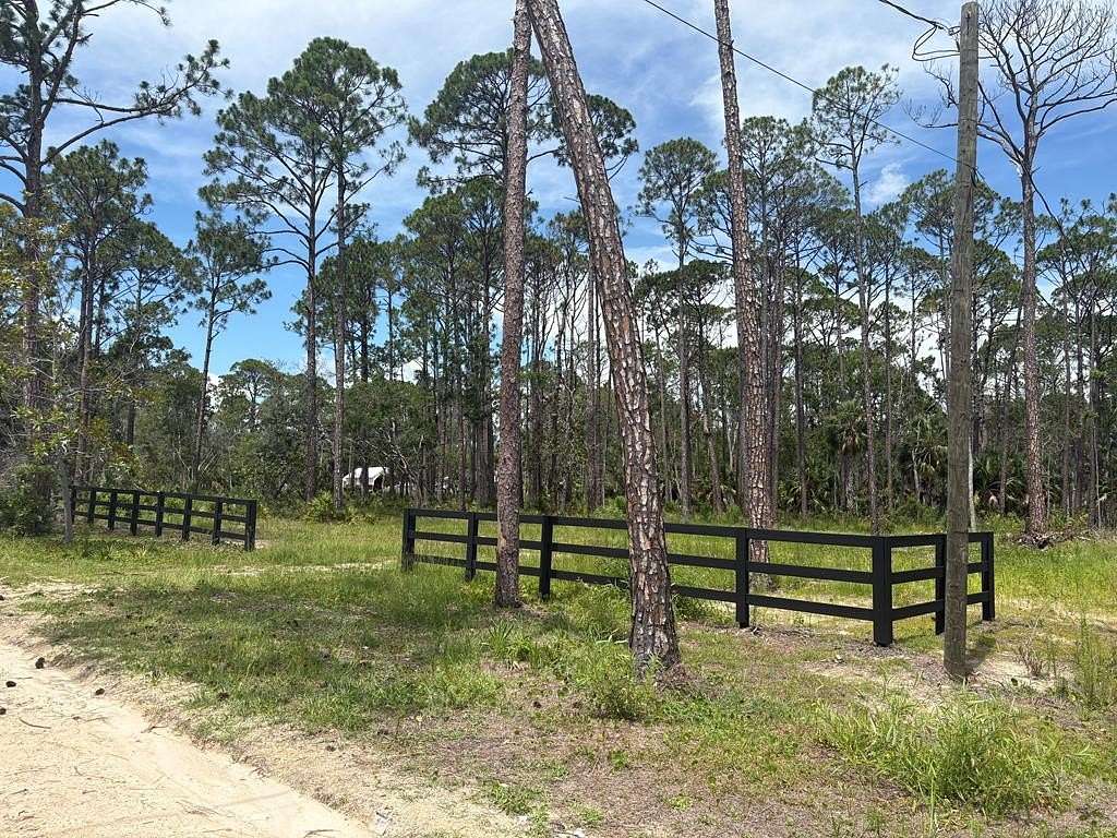 0.96 Acres of Land for Sale in Steinhatchee, Florida