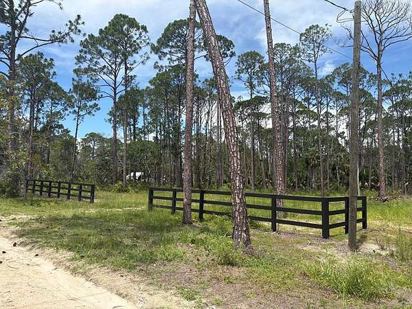 0.96 Acres of Land for Sale in Steinhatchee, Florida