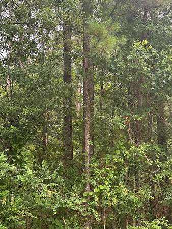 Residential Land for Sale in Laurel, Mississippi