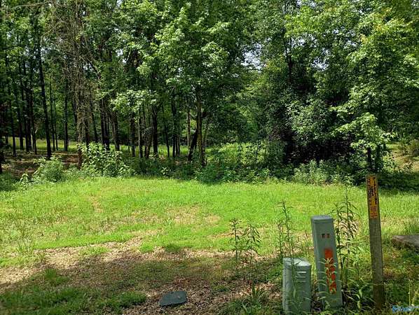 0.51 Acres of Land for Sale in Glencoe, Alabama