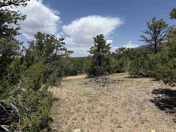 4 Acres of Land for Sale in Valdez, New Mexico
