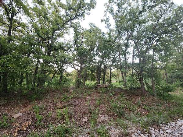 2 Acres of Residential Land for Sale in Chico, Texas