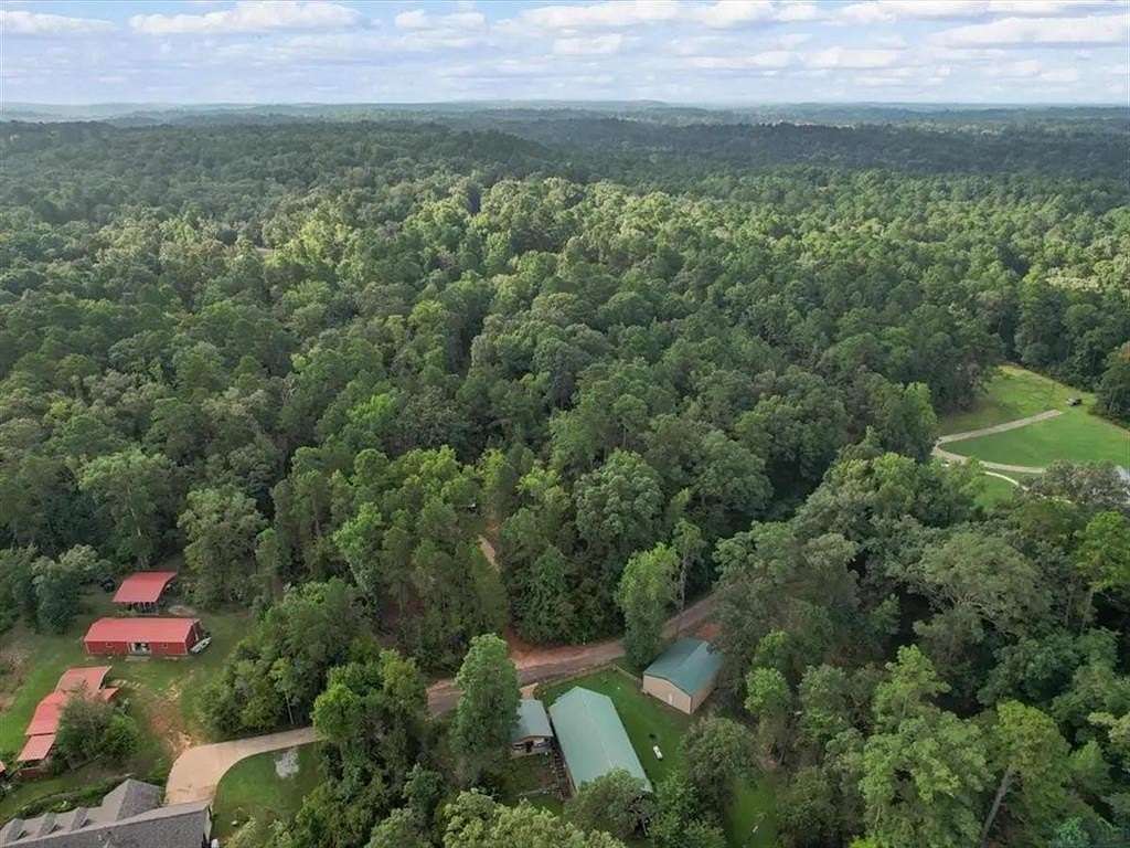 1 Acre of Residential Land for Sale in Hughes Springs, Texas