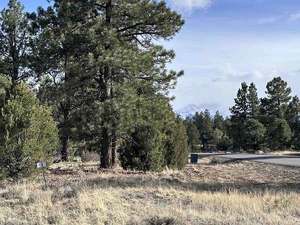 1 Acre of Residential Land for Sale in Ridgway, Colorado