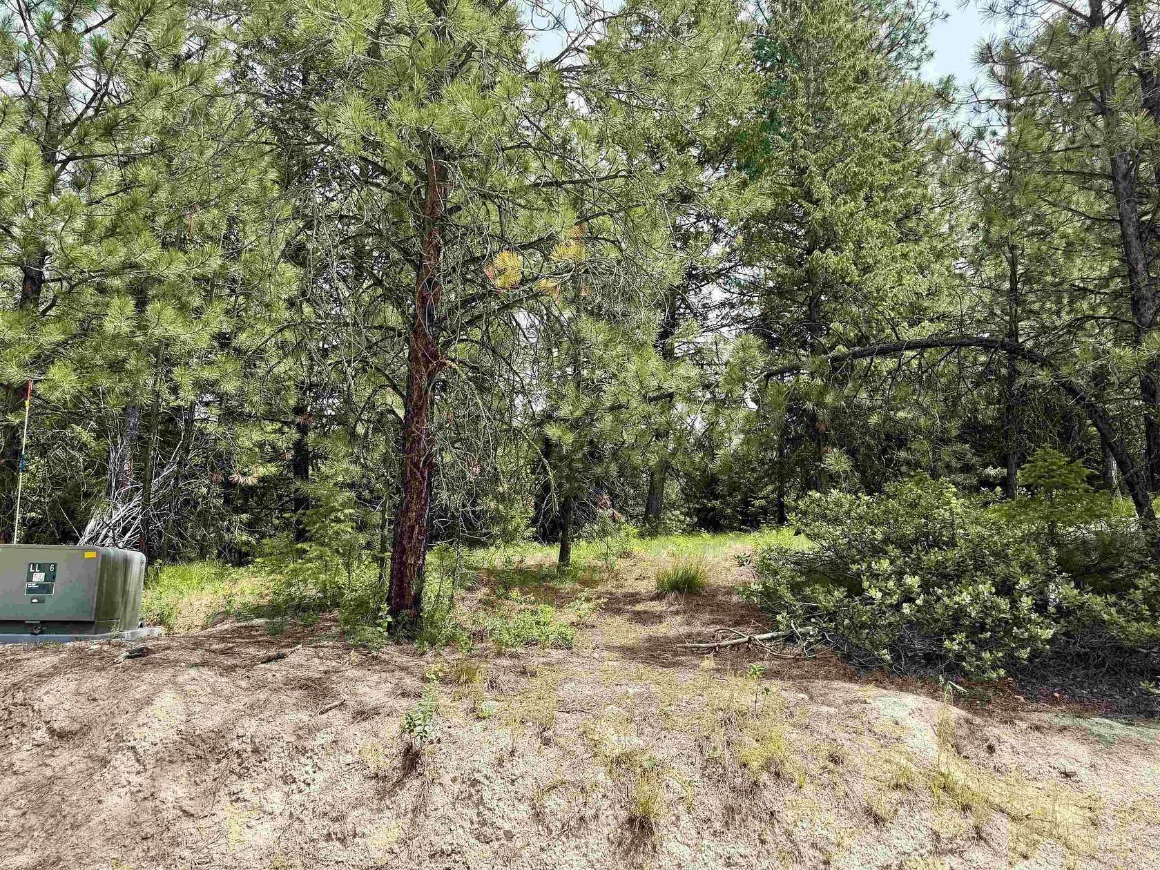 0.67 Acres of Land for Sale in Cascade, Idaho