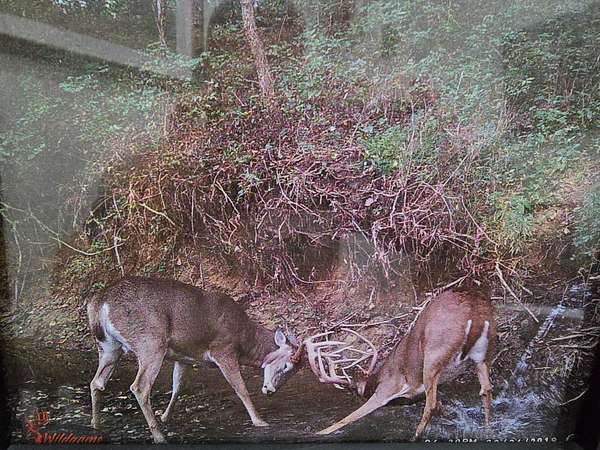 316 Acres of Recreational Land & Farm for Sale in Louisburg, Kansas