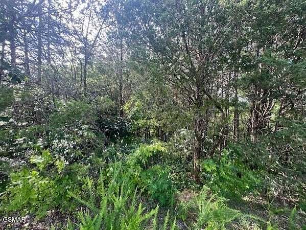 0.51 Acres of Residential Land for Sale in Sevierville, Tennessee