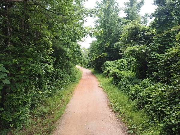 16 Acres of Recreational & Residential Land for Sale in Goodwater, Alabama