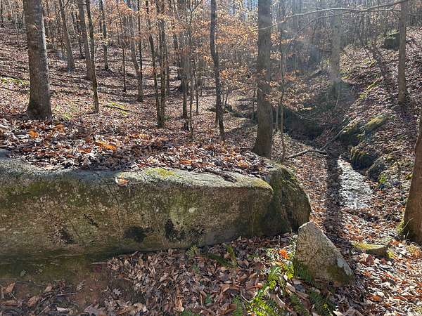 16 Acres of Recreational & Residential Land for Sale in Goodwater, Alabama