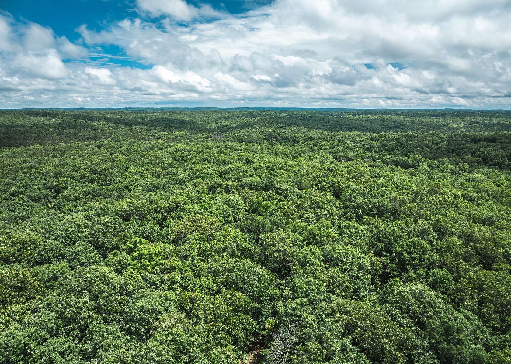 55 Acres of Recreational Land for Sale in Richwoods, Missouri