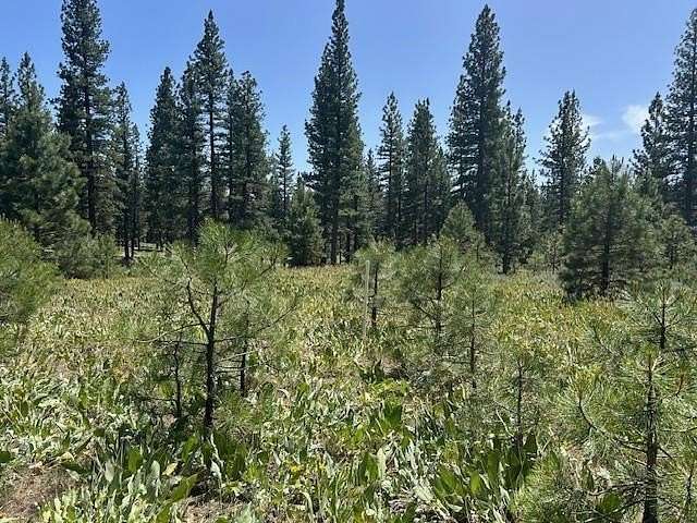 1.58 Acres of Land for Sale in Portola, California