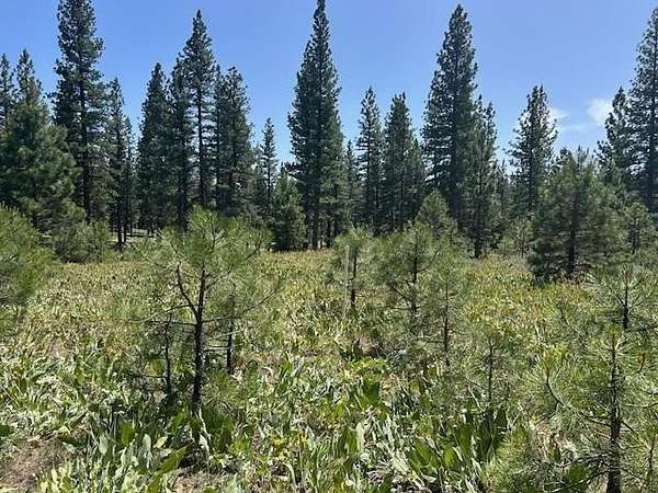 1.58 Acres of Residential Land for Sale in Portola, California