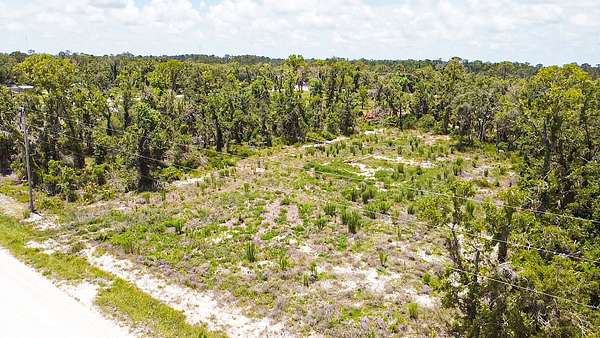1 Acre of Residential Land for Sale in Perry, Florida