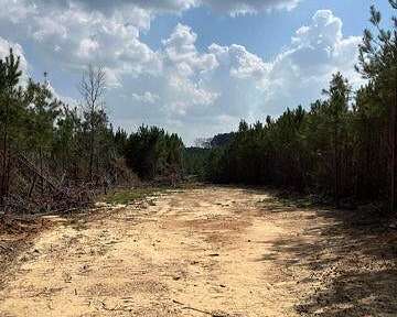 52 Acres of Land for Sale in Camden, Mississippi