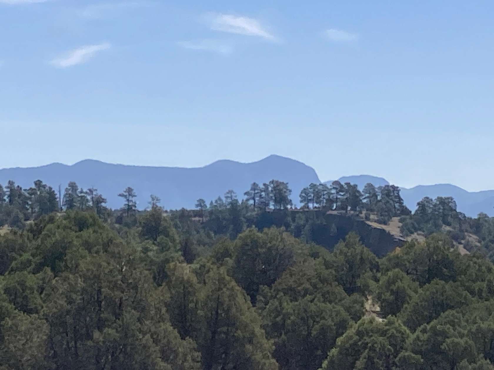 5.8 Acres of Agricultural Land for Sale in Rutheron, New Mexico