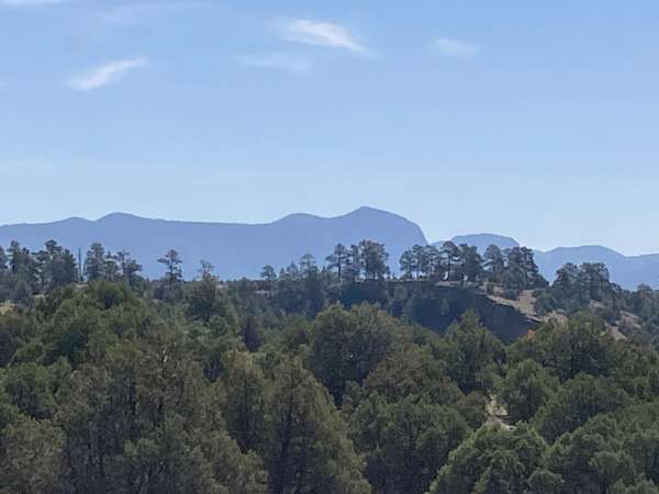 5.8 Acres of Agricultural Land for Sale in Rutheron, New Mexico