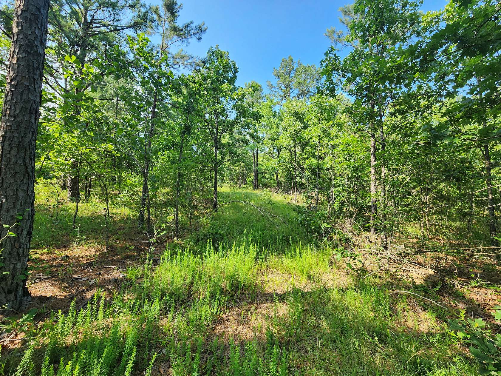 29 Acres of Land for Sale in Wister, Oklahoma