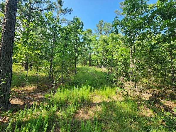 29 Acres of Land for Sale in Wister, Oklahoma