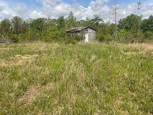 80 Acres of Land for Sale in Licking, Missouri