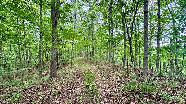 15.1 Acres of Recreational Land for Sale in Pleasant City, Ohio