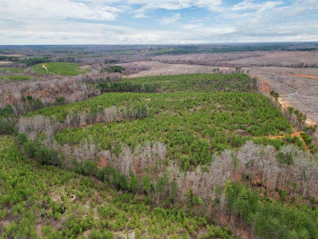 102 Acres of Recreational & Residential Land for Sale in Charlotte Court House, Virginia