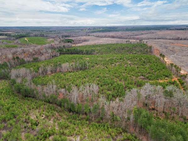 102 Acres of Recreational & Residential Land for Sale in Charlotte Court House, Virginia
