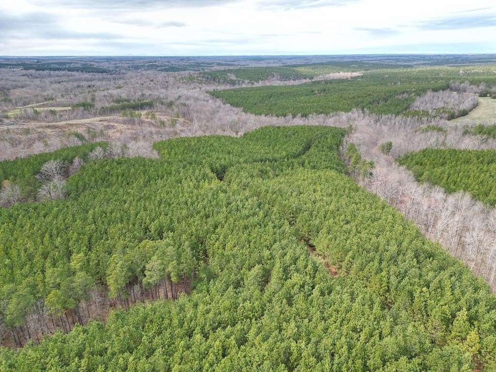 79 Acres of Recreational Land for Sale in Randolph, Virginia