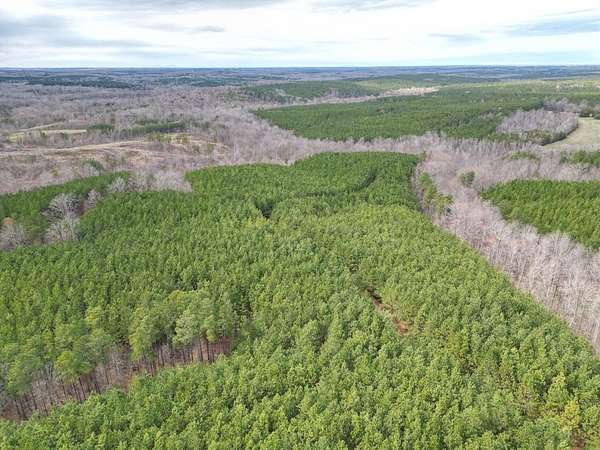 79 Acres of Recreational Land for Sale in Randolph, Virginia