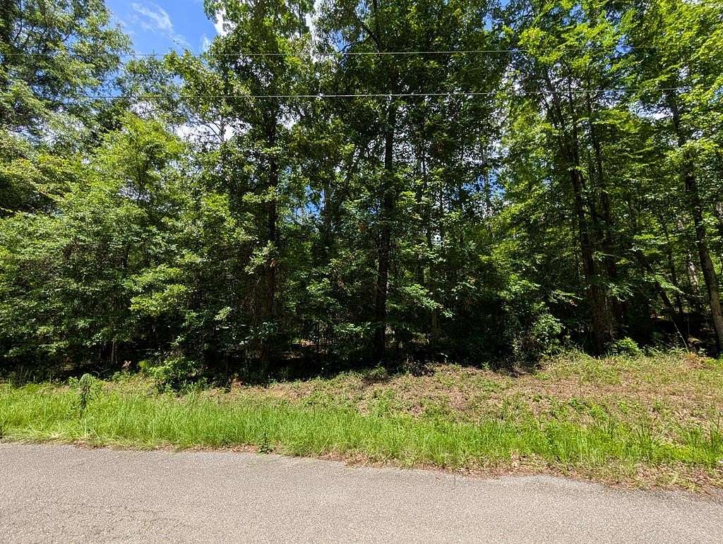 0.47 Acres of Residential Land for Sale in Abbeville, Alabama