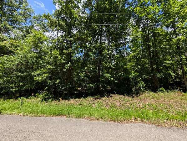 0.47 Acres of Residential Land for Sale in Abbeville, Alabama