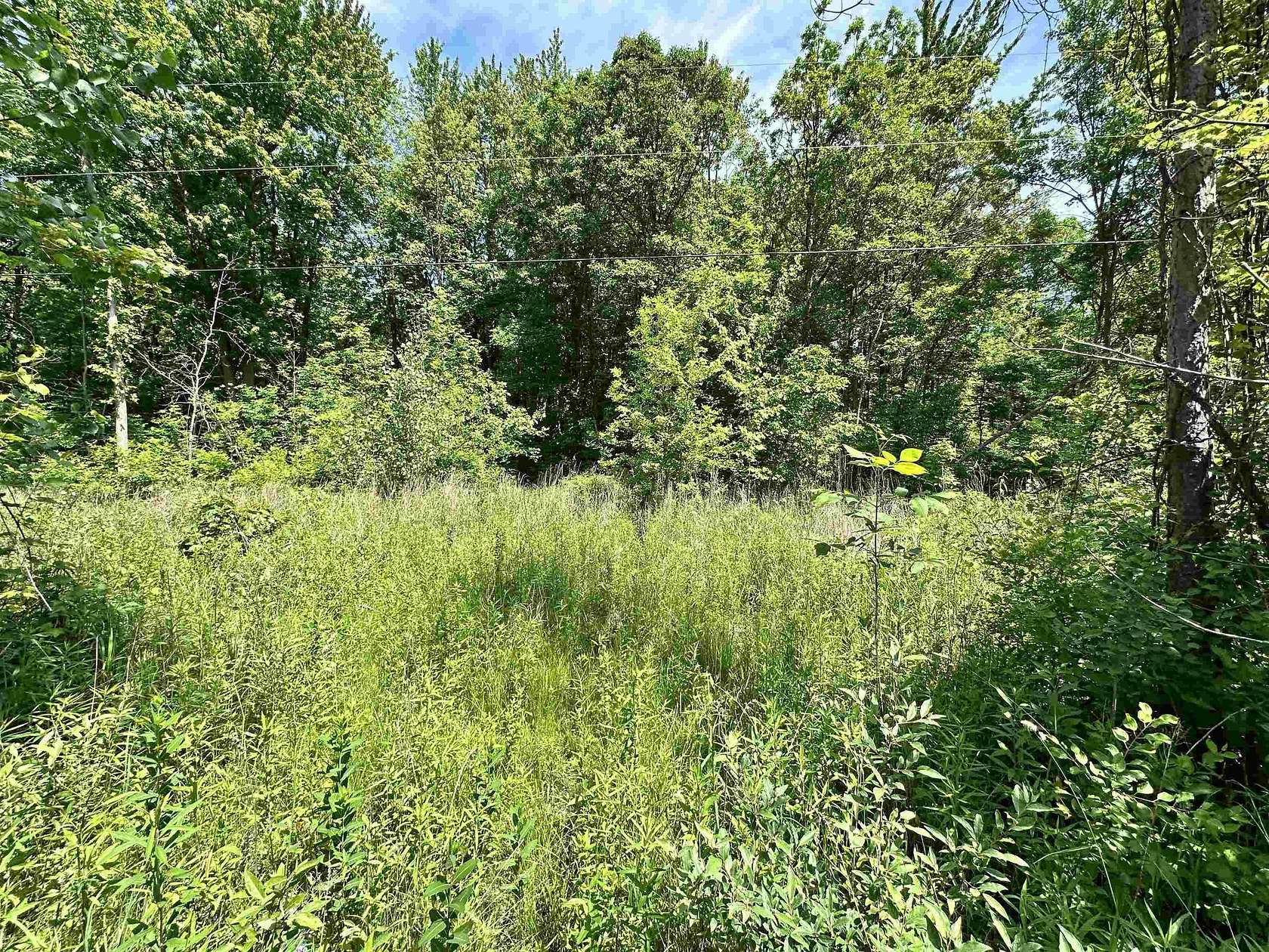 10 Acres of Residential Land for Sale in Beaverton, Michigan
