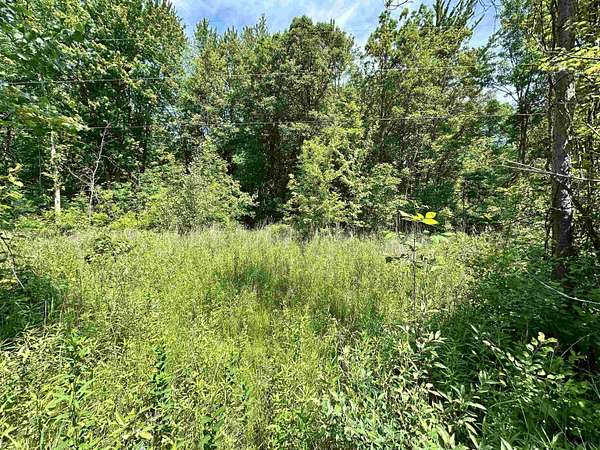 10 Acres of Residential Land for Sale in Beaverton, Michigan