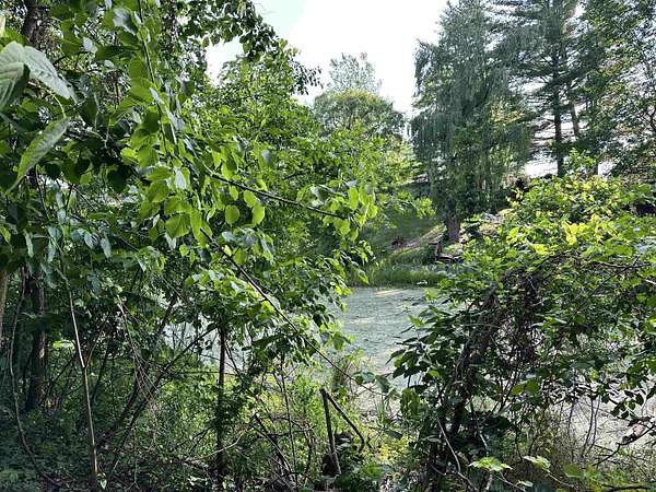 5 Acres of Land for Sale in Beaverton, Michigan