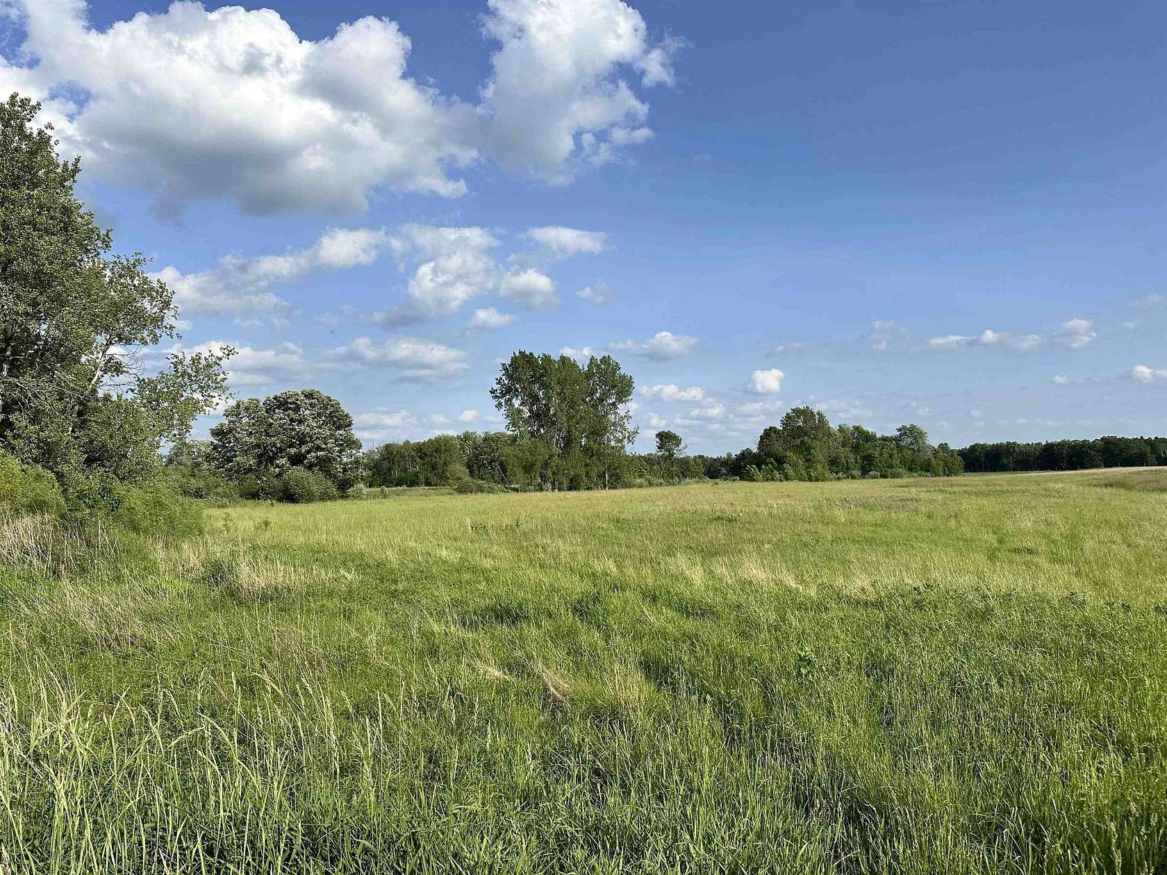 68 Acres of Agricultural Land for Sale in Beaverton, Michigan