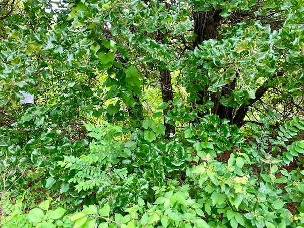 0.26 Acres of Residential Land for Sale in Spencer, Oklahoma