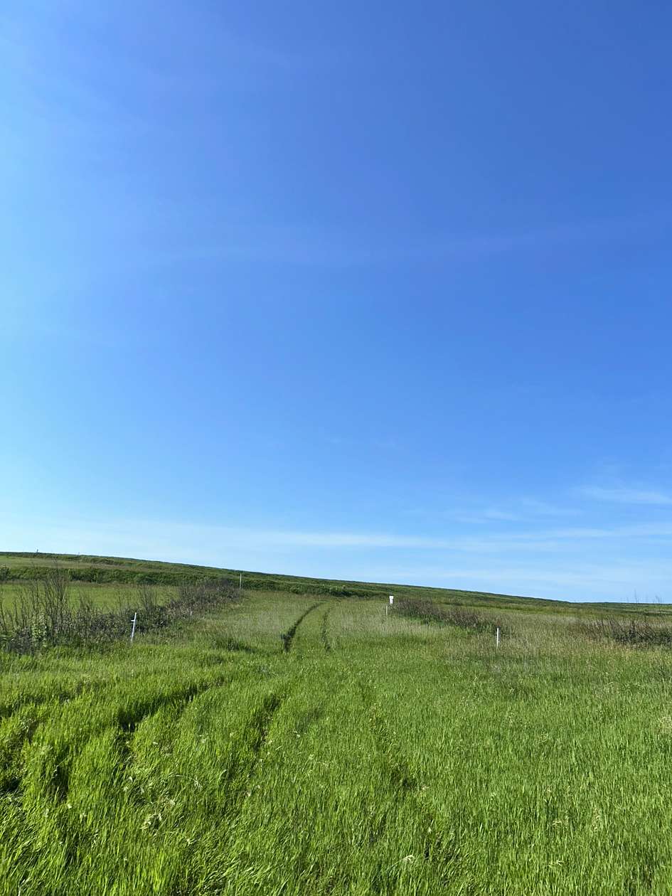 2.13 Acres of Residential Land for Sale in Silver City, Iowa