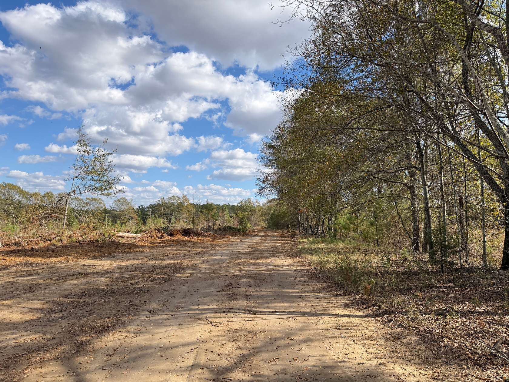 99 Acres of Recreational Land for Sale in Unadilla, Georgia