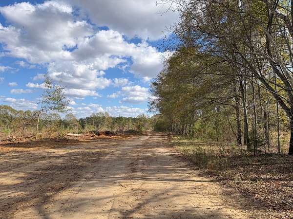 99 Acres of Recreational Land for Sale in Unadilla, Georgia