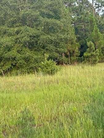 6.7 Acres of Land for Sale in Waynesboro, Georgia