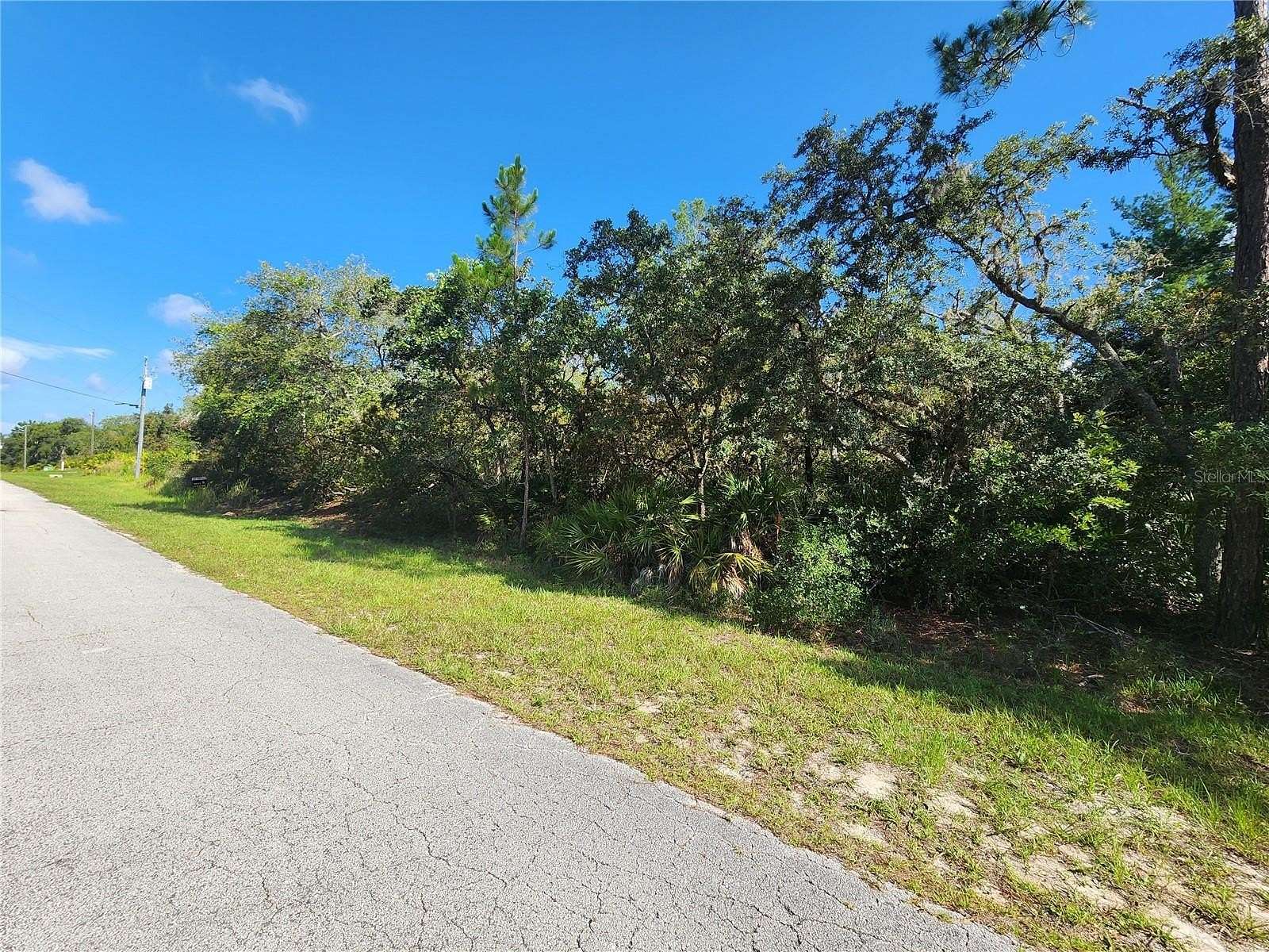 1 Acre of Residential Land for Sale in Eustis, Florida
