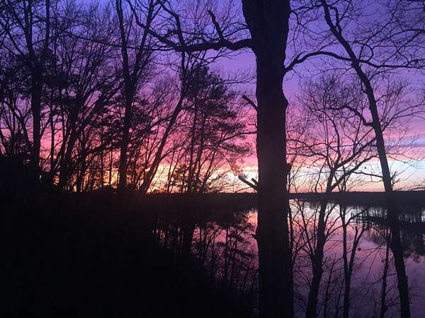 1 Acre of Residential Land for Sale in Batesburg-Leesville, South Carolina